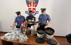 Carabinierri Castelgandolfo le sostanze  sequestrate