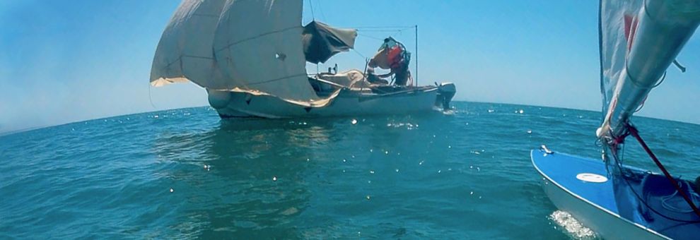 Anzio, incontro al largo con un ...vagabondo dei mari Anzio, incontro al largo con un ...vagabondo dei mari