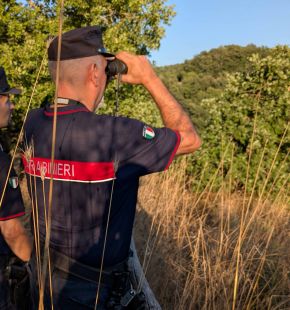 Palestrina, denunciato operaio 30enne per maltrattamenti e violenze su animali