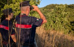 Palestrina, denunciato operaio 30enne per maltrattamenti e violenze su animali