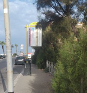 Ostia, verde incolto sui marciapiedi, chiesto lo sfalcio e la manutenzione