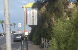 Ostia, verde incolto sui marciapiedi, chiesto lo sfalcio e la manutenzione