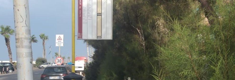 Ostia, verde incolto sui marciapiedi, chiesto lo sfalcio e la manutenzione