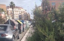 Via Angiolo Pasqui foto Rapisarda