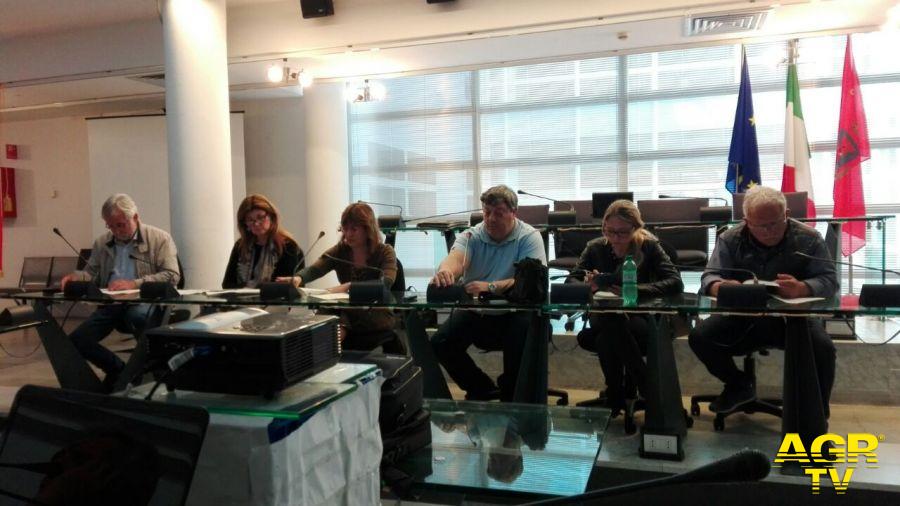 Fiumicino, protocollo d'intesa sul randagismo Fiumicino, protocollo d'intesa sul randagismo