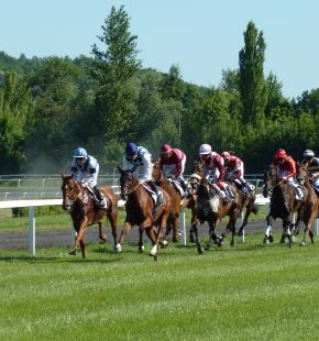 Roma, all'Ippodromo delle Capanelle ritornano le corse