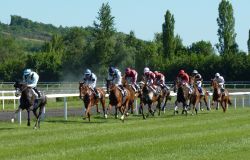 Roma, all'Ippodromo delle Capanelle ritornano le corse