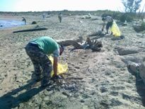 Fiumicino, pulizie di Pasqua, il Nord dimenticato