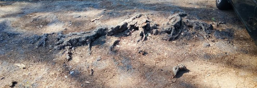 Ostia, denuncia FdI: dissesti del manto stradale in via dei Promontori Ostia, denuncia FdI: dissesti del manto stradale in via dei Promontori