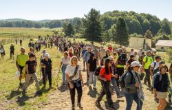 Opera Sila  PH: Ufficio Stampa Rosita Mercatante