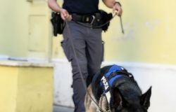 Roma, operazione antidroga della Polizia, 6 persone arrestate, 2 kg. di droga ed una pistola sequestrati