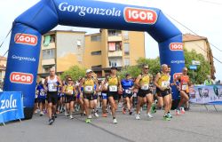 IV edizione della Corsa del Ricordo, commemorate correndo le foibe e l'esodo Giuliano Dalmata a Novara e Catania