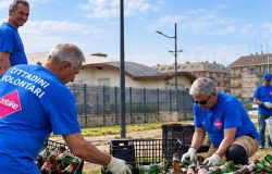 Roma, centinaia di volontari in campo per prendersi cura della città. Retake: dai quartieri parte la difesa del pianeta