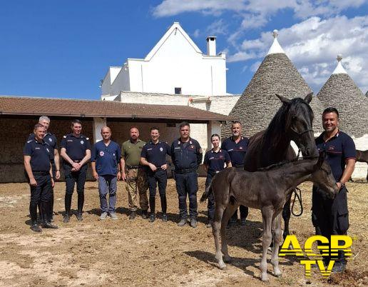 Carabinieri progetto_San_Giorgio Carabinieri progetto_San_Giorgio