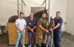Carabinieri progetto_San_Giorgio