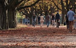 XV Municipio, Roma Unisce 2026 e Musei Diffusi, appuntamenti, visite guidate e conferenze fino al 15 novembre