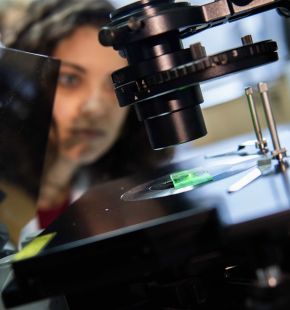 Notte della Ricerca 2026....brilla l'Università di Roma Tor Vergata