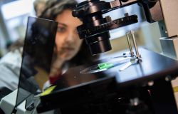 Notte della Ricerca 2026....brilla l'Università di Roma Tor Vergata