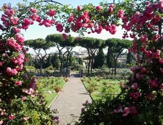 Roma, dal 7 al 22 ottobre riapre il roseto per la fioritura autunnale