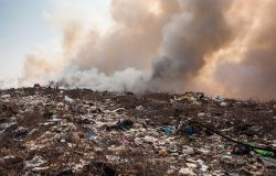 Legambiente, Rapporto Ecomafia 2026, nel Lazio 2358 ecoreati accertati in un anno