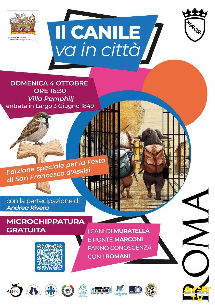 Locandina Il Canile va in città Locandina Il Canile va in città