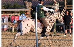 Palio di Ostia Antica ph credit Pino Rampolla immagini del Palio