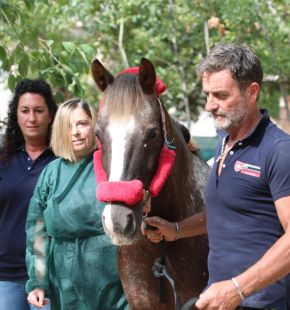 Ospedale San Giovanni Battista di Roma: inaugurata la nuova area per la terapia assistita con gli animali Ospedale San Giovanni Battista di Roma: inaugurata la nuova area per la terapia assistita con gli animali