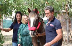 Ospedale San Giovanni Battista di Roma: inaugurata la nuova area per la terapia assistita con gli animali