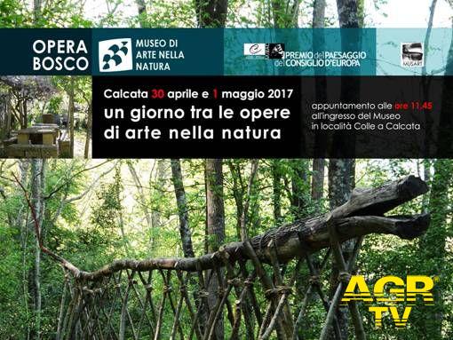 Un giorno tra le opere di Arte nella Natura Un giorno tra le opere di Arte nella Natura