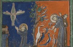 Roma, L'eredità di San Francesco, 800 anni dopo