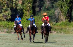 Polo finali Campionato Italiano