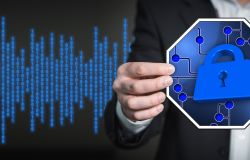 Cybersicurezza, la prima linea di difesa digitale è una persona formata