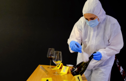 La scienza al servizio della giustizia: collaborazione istituzionale tra la Scuola Marescialli e Brigadieri dei Carabinieri di Firenze e la Scuola Superiore di Magistratura