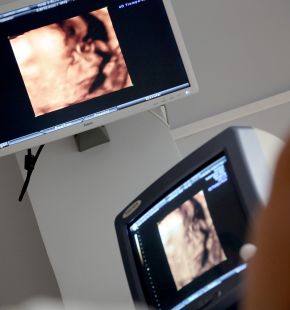 I Ginecologi universitari dedicano la prima giornata nazionale all'Endometriosi