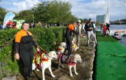 CANI DA SALVATAGGIO October sport foto da comunicato stampa
