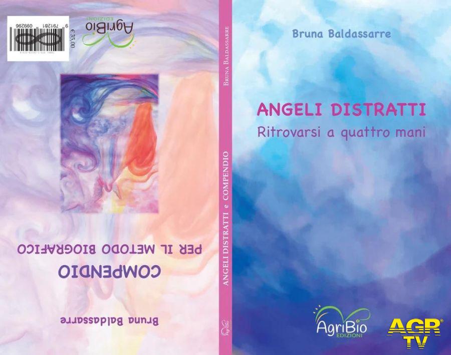 Angeli distratti e Compendio di Bruna Baldassarre, la copertina del libro Angeli distratti e Compendio di Bruna Baldassarre, la copertina del libro