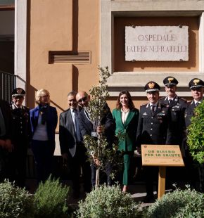 Un albero per la salute, 130 alberature messe a dimora negli ospedali italiani da FADOI e Carabinieri