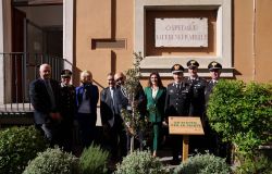 Un albero per la salute, 130 alberature messe a dimora negli ospedali italiani da FADOI e Carabinieri