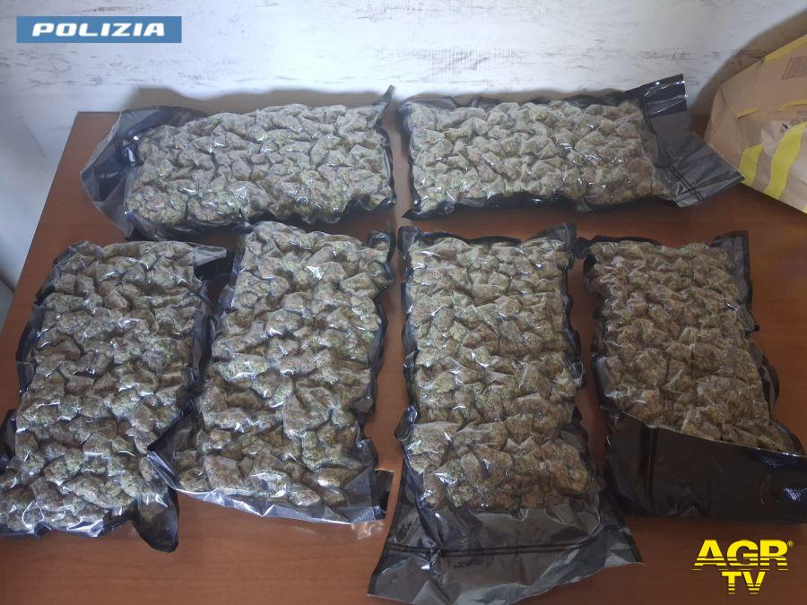 Polizia droga sequestrata Polizia droga sequestrata