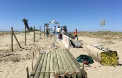Passoscuro, nasce l'Oasi delle dune