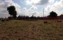 Acilia, nuovo incendio al parco della Madonnetta