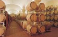 Lunga vita al vino