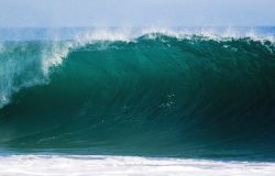 Oceano, un pianeta blu da salvaguardare