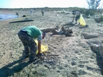 Ri-Party-Amo la grande iniziativa ambientale per pulire e recuperare 20 milioni di mq di spiagge