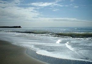 Ostia, mare in gabbia? Ostia, mare in gabbia?