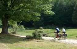 Parchi, nuovo motore dell'economia