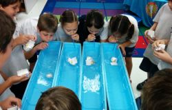 Ostia, alla scoperta dei segreti del mare