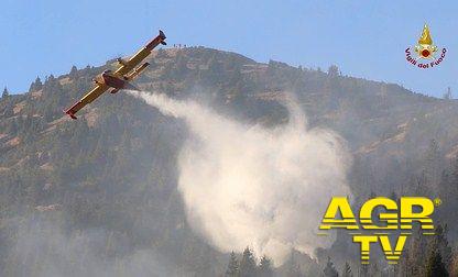 L’incendio boschivo, un fenomeno che ha assunto il carattere di una vera e propria calamità L’incendio boschivo, un fenomeno che ha assunto il carattere di una vera e propria calamità