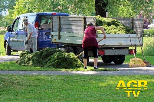 Ostia, task force per i giardini