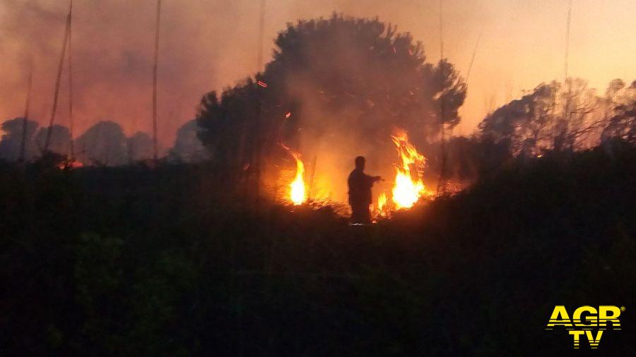 Fiumicino, in crescita gli incendi dolosi Fiumicino, in crescita gli incendi dolosi